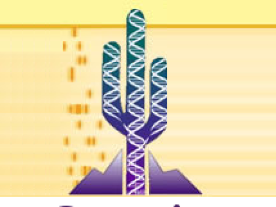 GIDP Logo showing a Saguaro