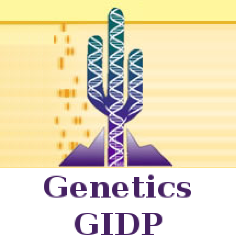 GIDP Logo showing a Saguaro